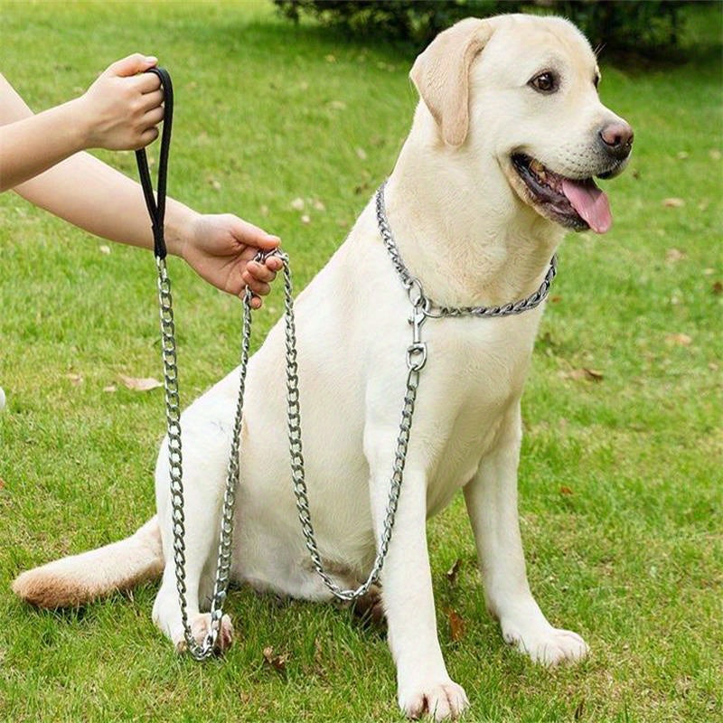 Flat Iron Chain Dog Leash