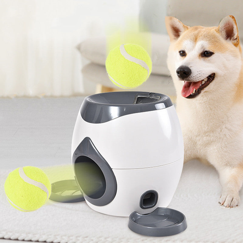 Dog playing with treat dispensing training toy indoors