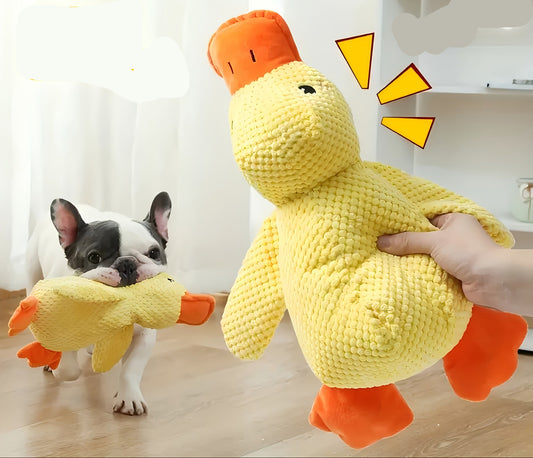 Plush duck dog toy with squeaker