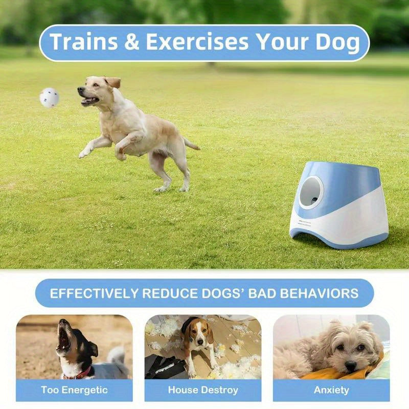 Dog waiting for ball launch from automatic launcher