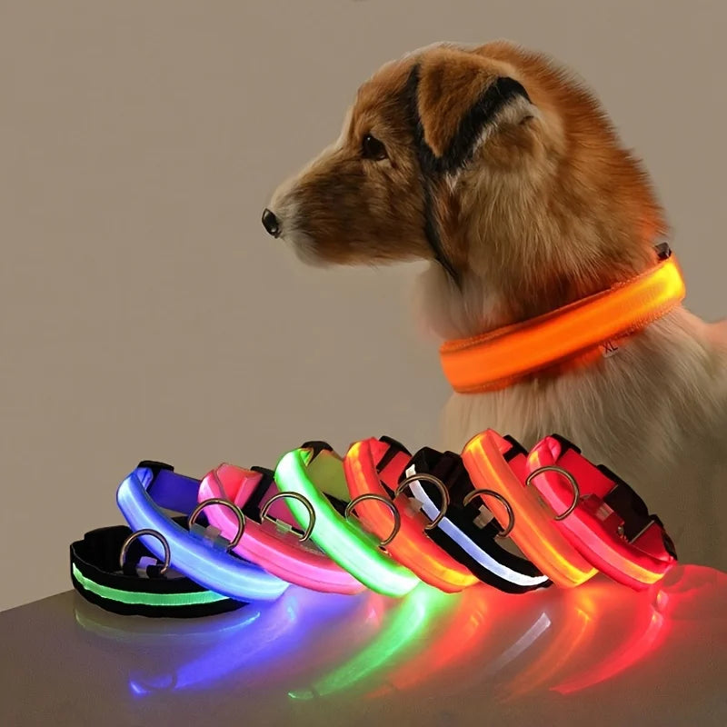 LED  Dog Collar