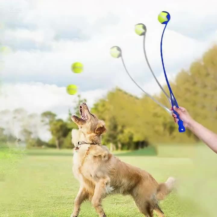 Dog Ball Thrower Stick for Fetch Play