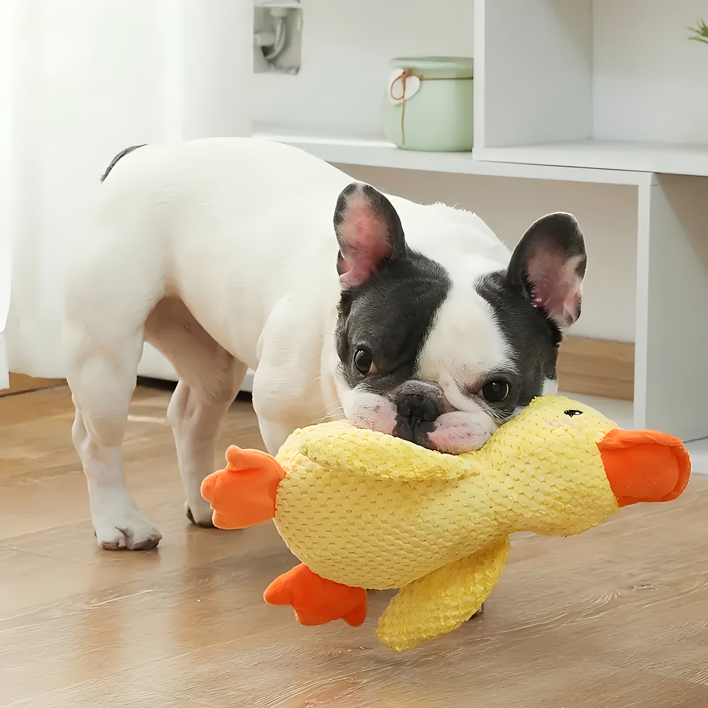 Plush Duck Dog Toy with Squeaker