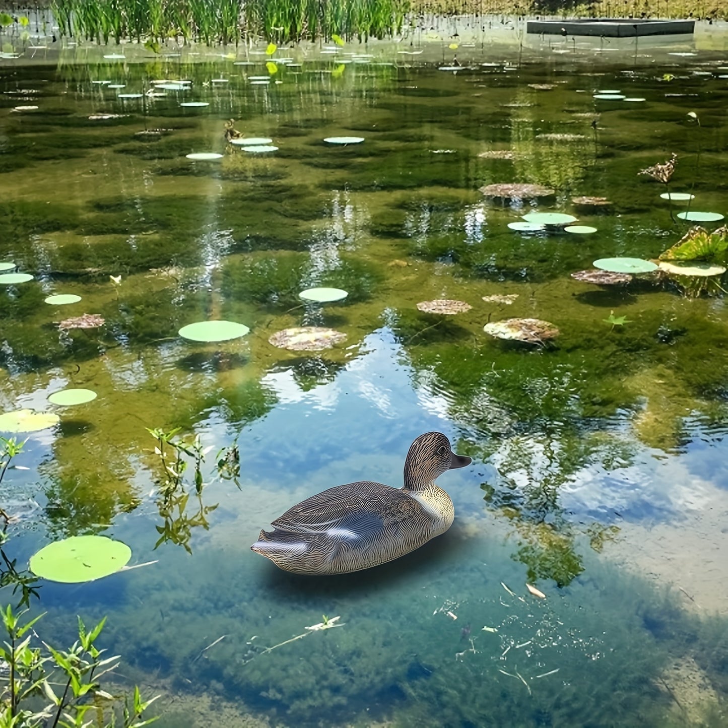 Realistic Plastic Duck Hunting Decoy