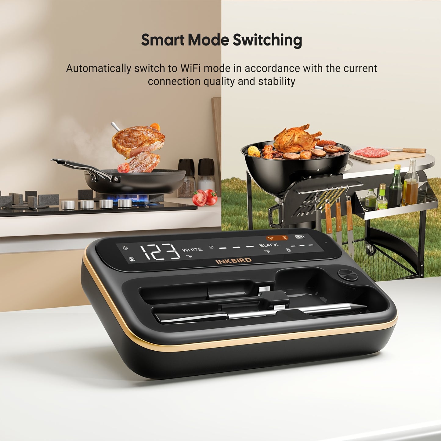 Wireless BBQ Thermometer